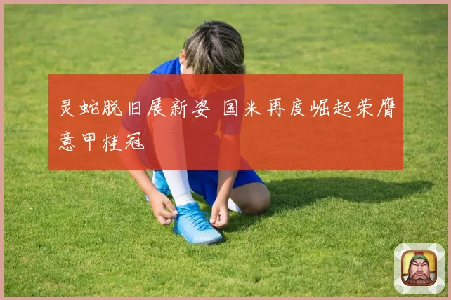 灵蛇脱旧展新姿 国米再度崛起荣膺意甲桂冠