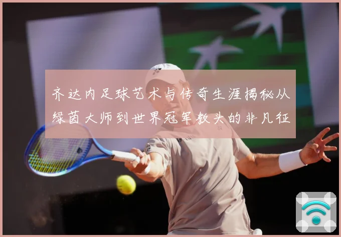 齐达内足球艺术与传奇生涯揭秘从绿茵大师到世界冠军教头的非凡征程