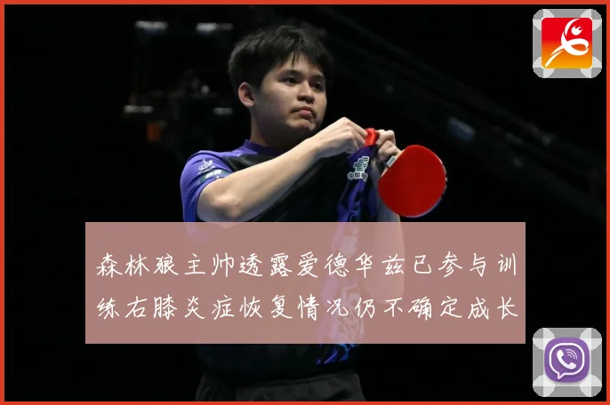 森林狼主帅透露爱德华兹已参与训练右膝炎症恢复情况仍不确定成长观察