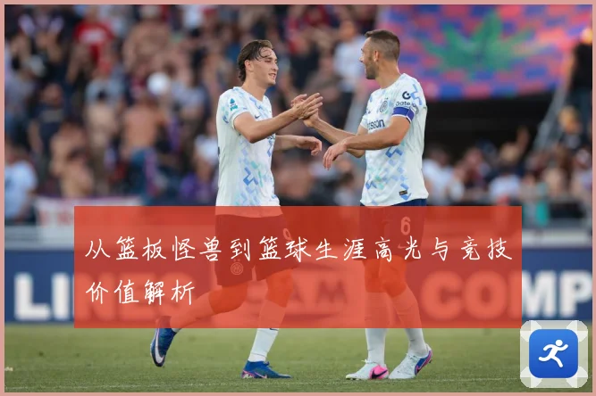 从篮板怪兽到篮球生涯高光与竞技价值解析